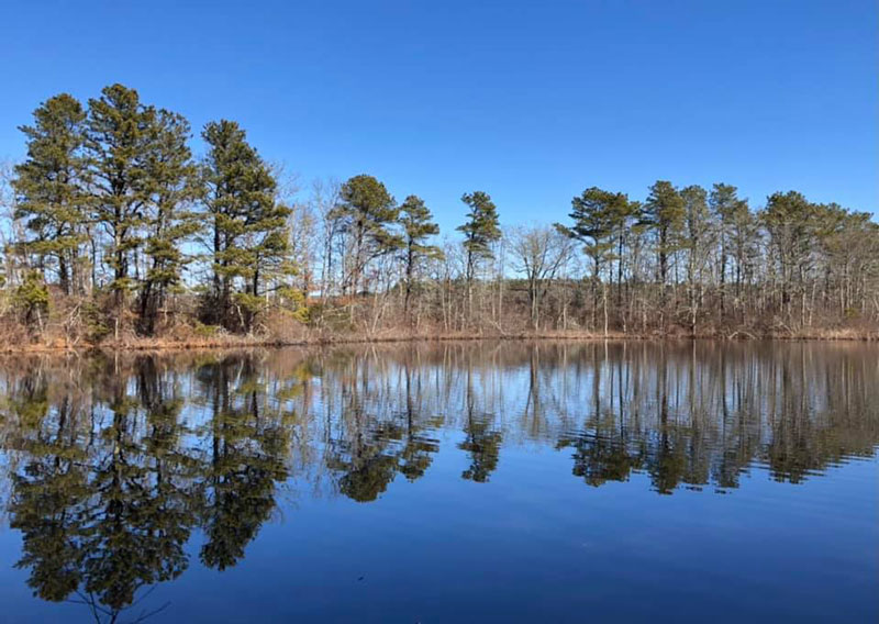 Santuit Pond Preserve