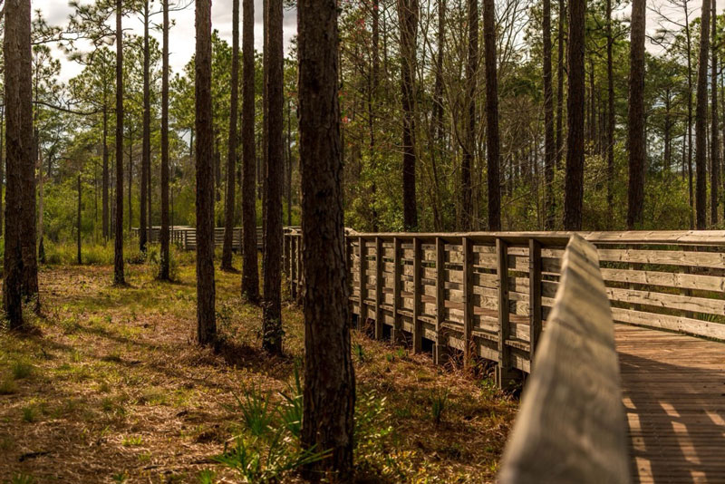 Scenic Drive Along Bayou Lafourche