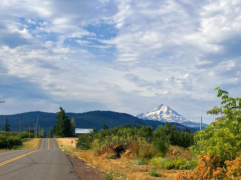 Scenic Drives along the Hood Canal