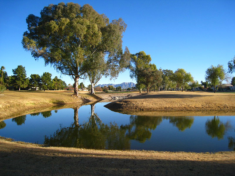 Scottsdale Pond and Park