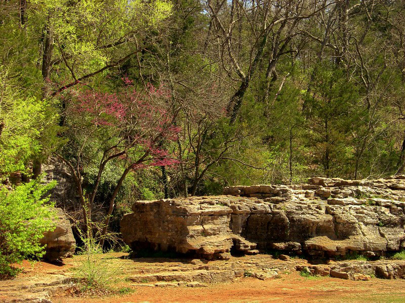 Sequiota Park