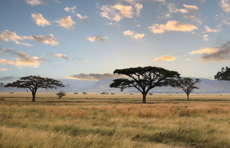 Serengeti National Park, Tanzania