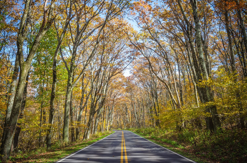 Shenandoah Park