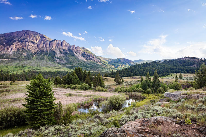 Shoshone National Forest