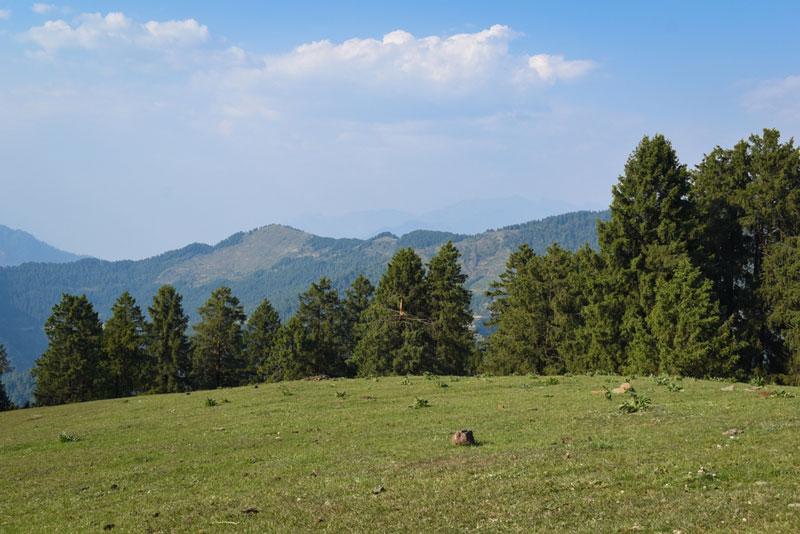 Spruce Mountain Open Space