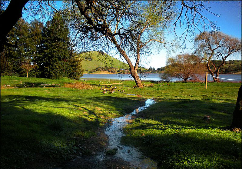 Stafford Lake Park