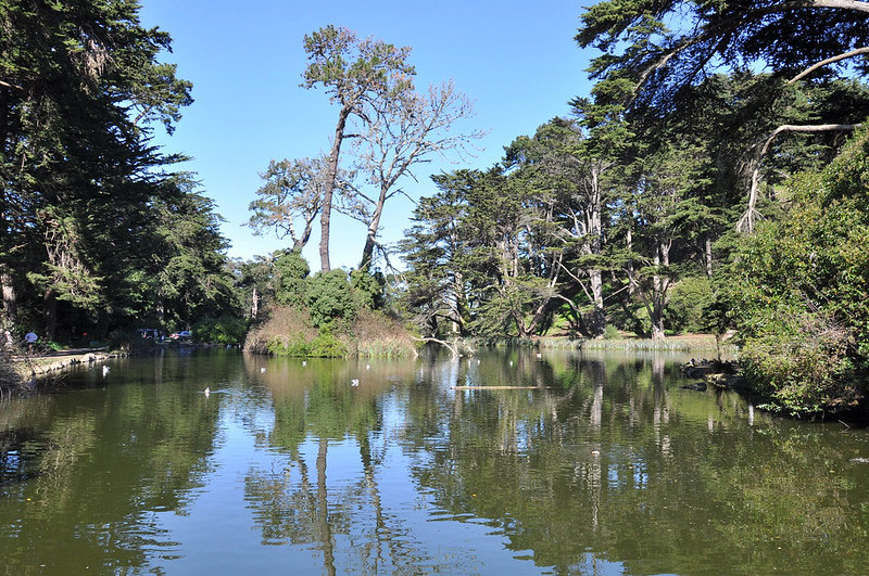 Stow Lake, San Francisco