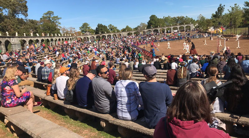 Texas Renaissance Festival