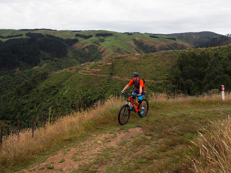 Woodland Bike Loop