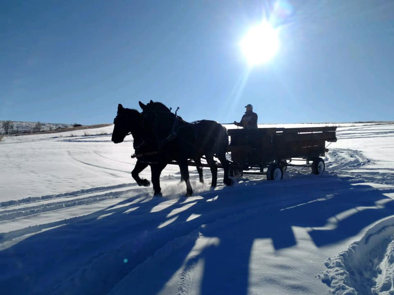 Wyoming State Winter Fair