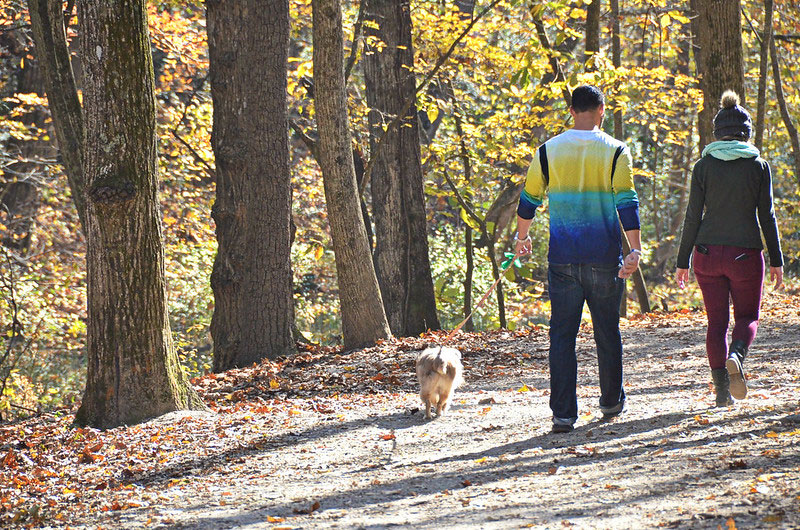 dog to Waggin’ Trail Dog Park