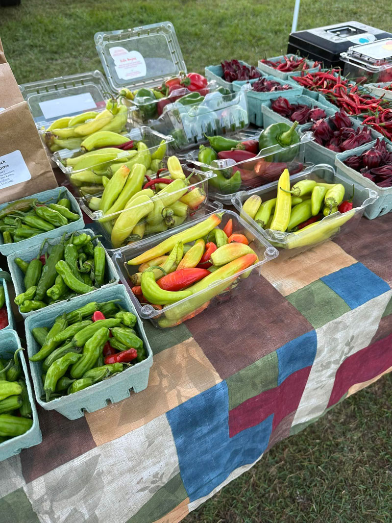 Andalusia Farmer’s Market