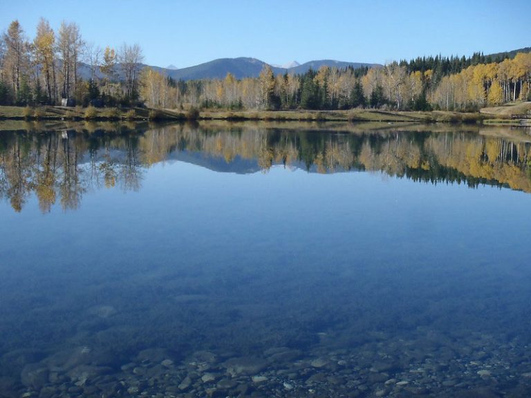 23 Best & Fun Things To Do in Arvada (CO) - The Tourist Checklist