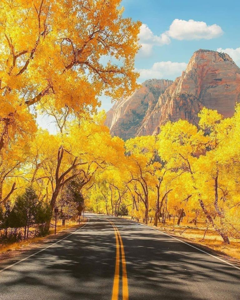 23 Best & Fun Things To Do in Arvada (CO) - The Tourist Checklist