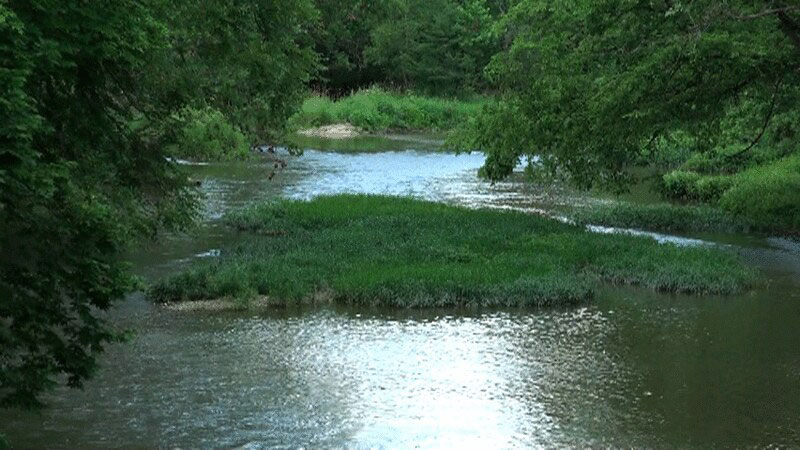 Big Darby Creek for Nature Activities