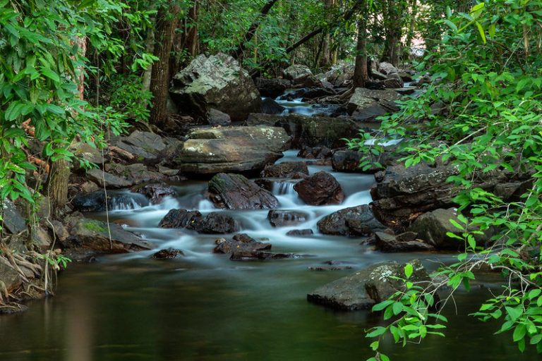 23 Best & Fun Things To Do in Florence (KY) - The Tourist Checklist