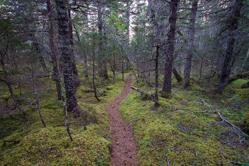 Keystone Canyon Trails