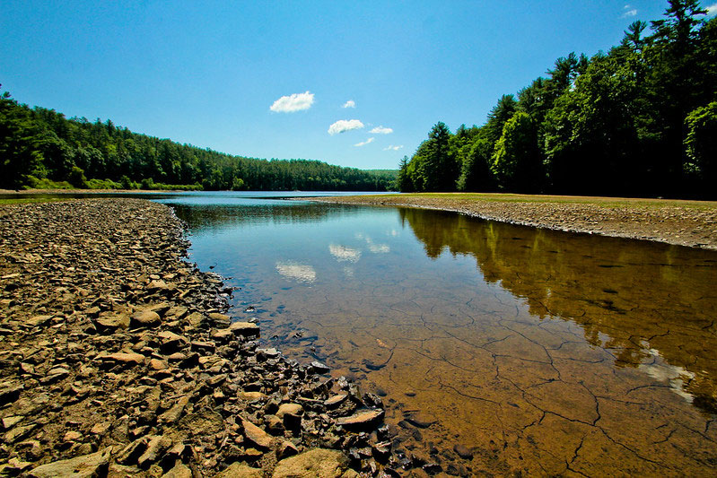 Mongaup Valley Wildlife Management Area