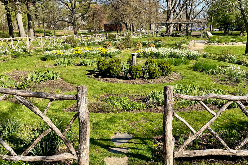 Shakespeare Garden at Cedar Brook Park