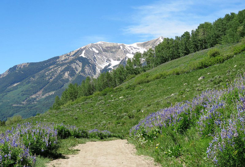 Brush Creek Trail