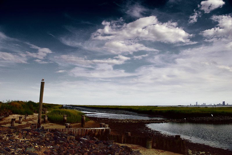 Edwin B. Forsythe National Wildlife Refuge