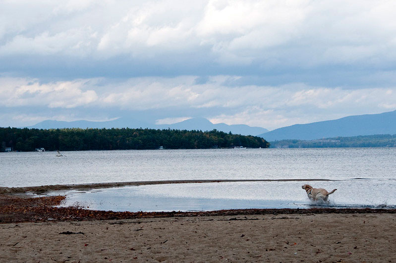 Ellacoya State Park