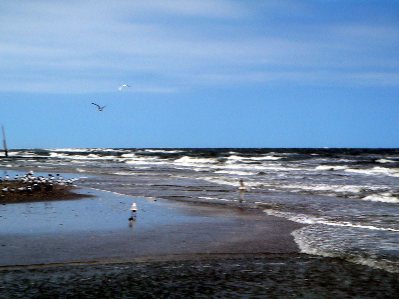 Elmer’s Island Wildlife Refuge