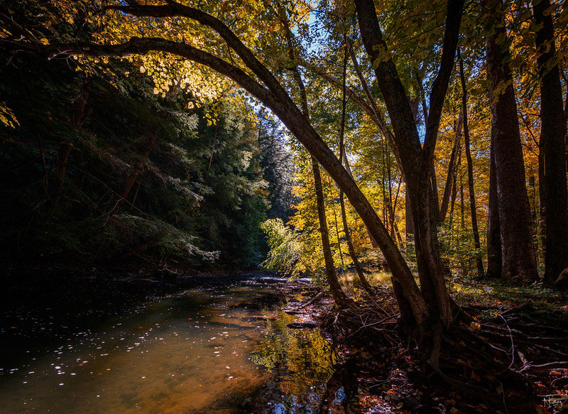 Mohican River