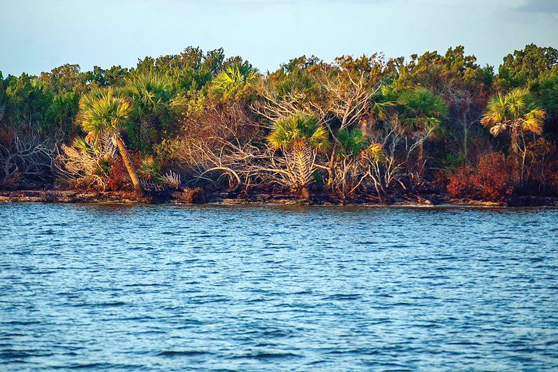 Mosquito Lagoon