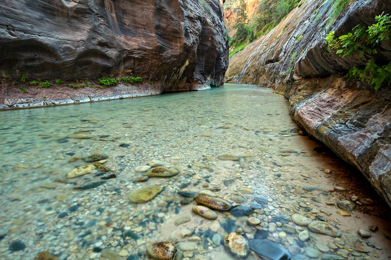 North Fork Park