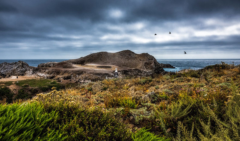 Point Lobos State Natural Reserve