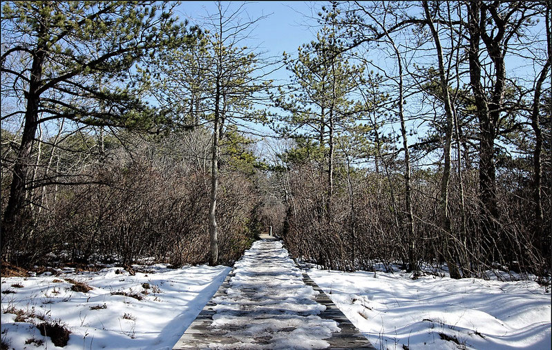 Quogue Wildlife Refuge