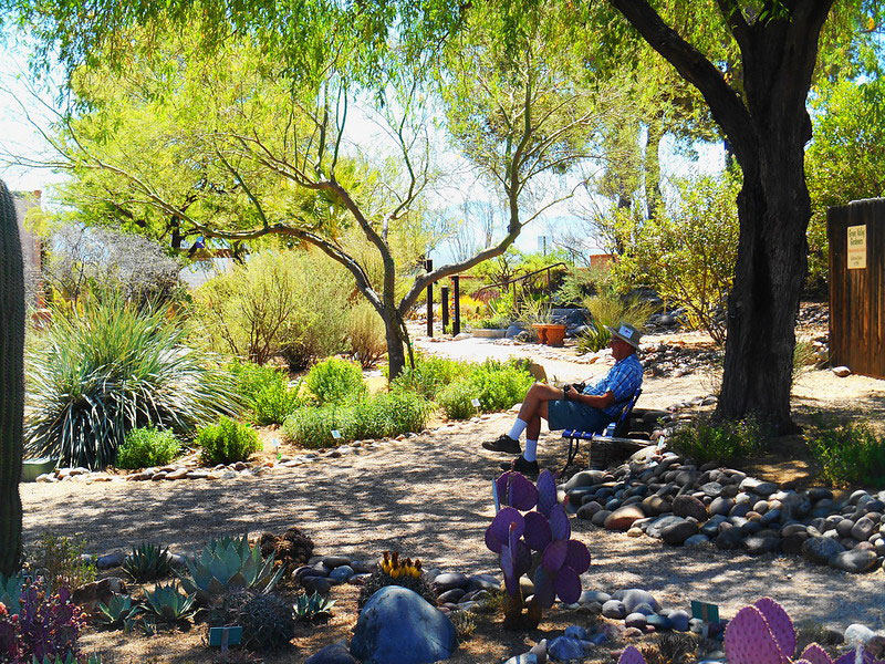 Arid Garden