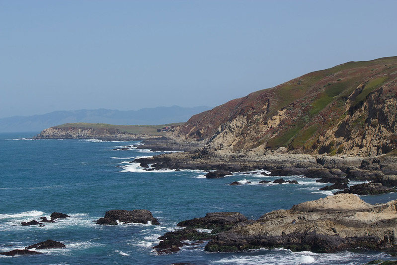 Bodega Head