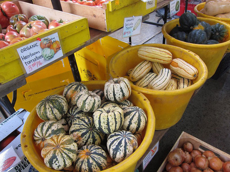 Burlington Farmers Market