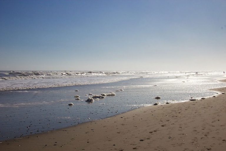 25 Best Fun Things To Do Corolla (NC) The Tourist Checklist