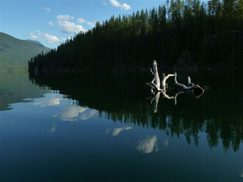 Duncan Lake