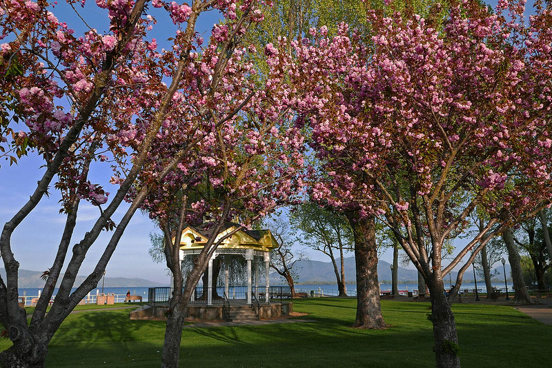 Library Park in Lakeport