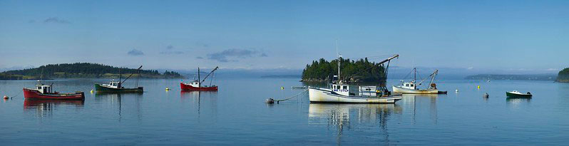 Lubec’s harbor