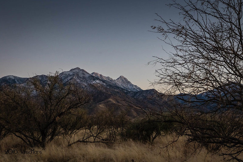 Madera Canyon