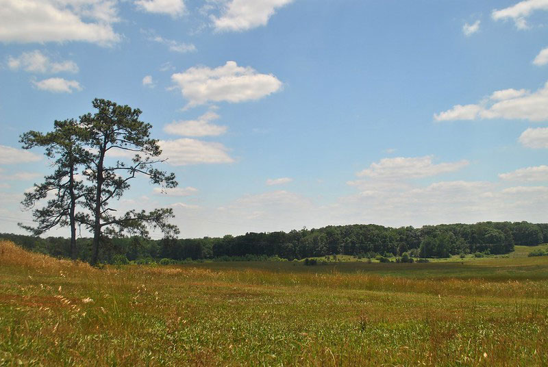 Nash Farm Battlefield