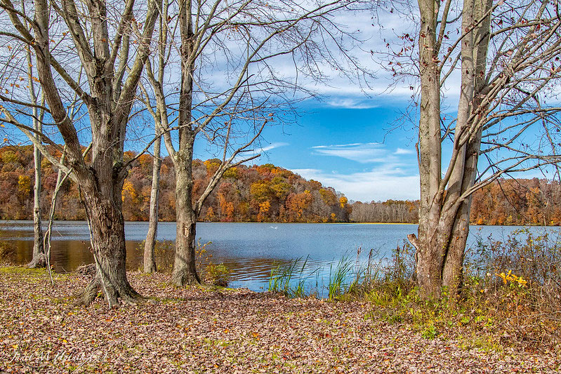 Tycoon Lake Wildlife Area